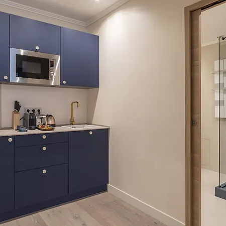 The Blue On Champs Elysees Avenue Daire Paris